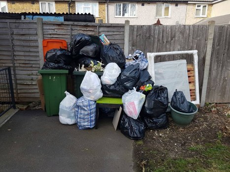 Professional garden clearance team at work in Hainault